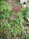 image of grave number 445817